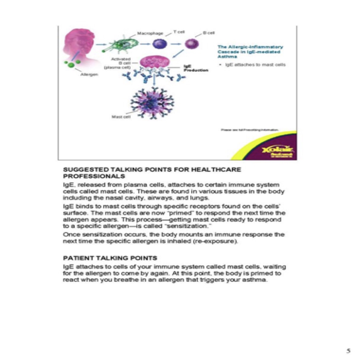 This flip-chart presentation helped nurse educators explain a new type of allergy medicine to colleagues and patients.
(Page 5 of 11)